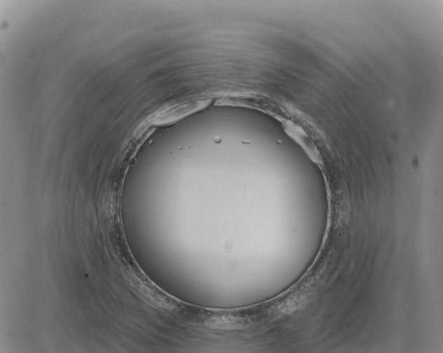 X0000080671169200612301353