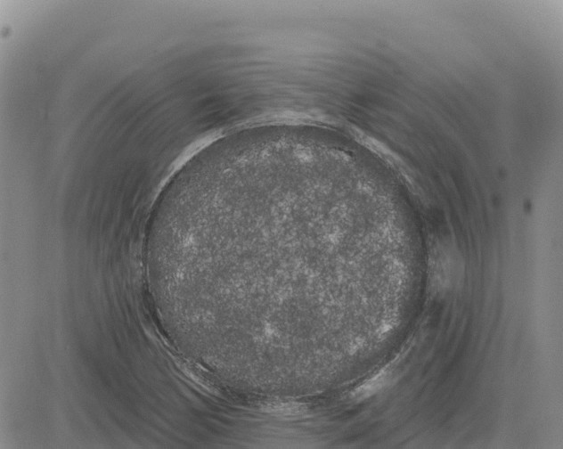 X0000080671170200612301353