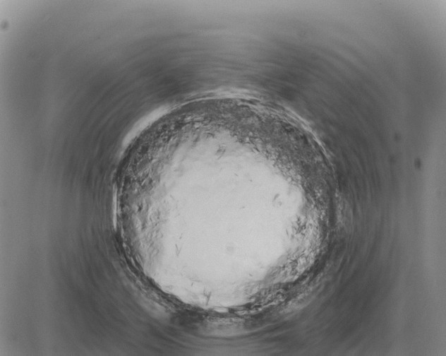 X0000080671171200612301353