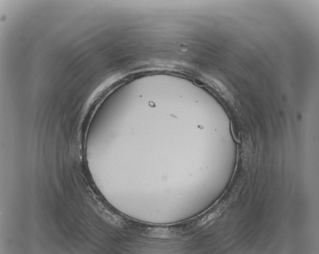 X0000080671172200612301353