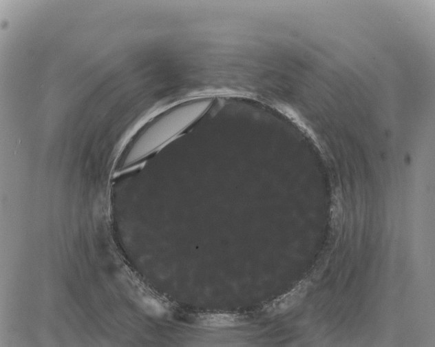 X0000080671173200612301353