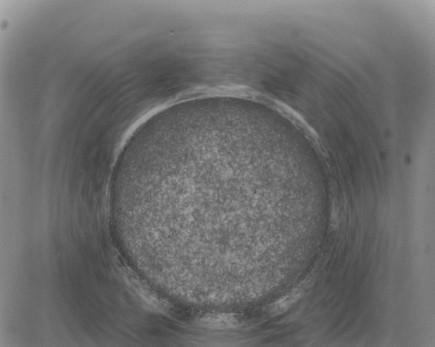 X0000080671174200612301353