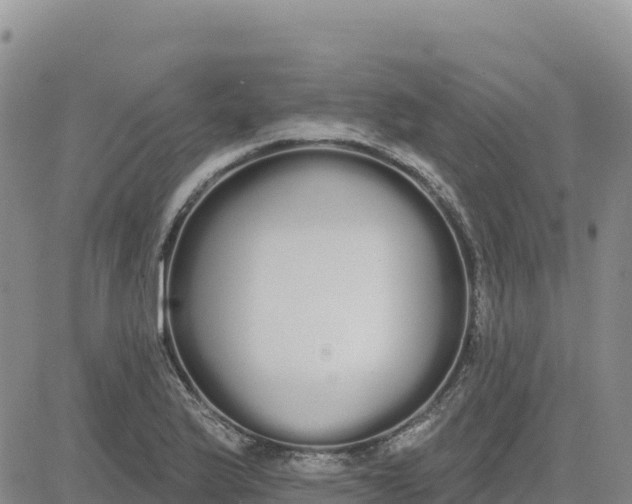 X0000080671175200612301352