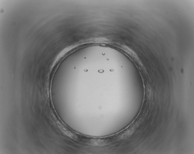 X0000080671176200612301352