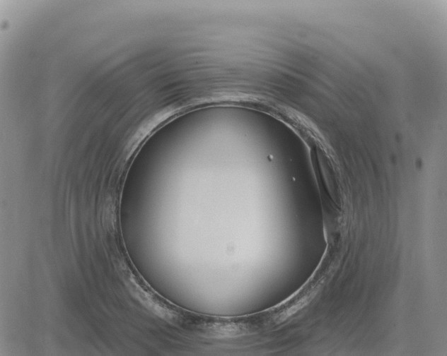 X0000080671177200612301352