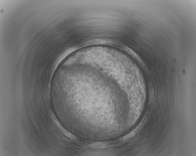 X0000080671178200612301352