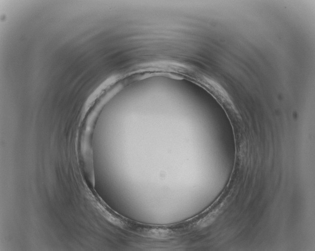 X0000080671180200612301352