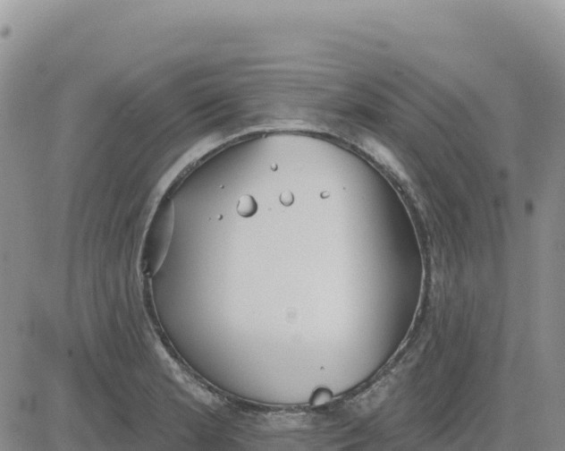 X0000080671181200612301352