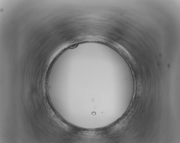 X0000080671182200612301352