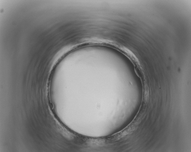 X0000080671183200612301352