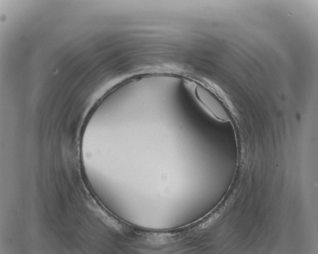 X0000080671184200612301352