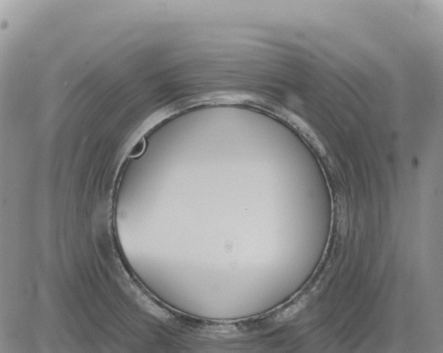 X0000080671186200612301352