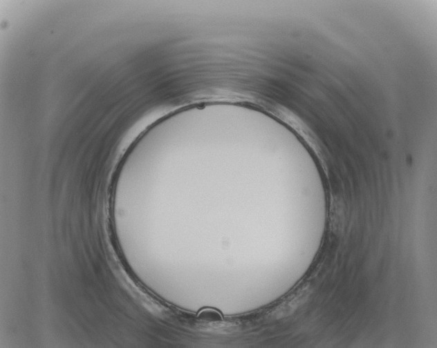 X0000080671187200612301352