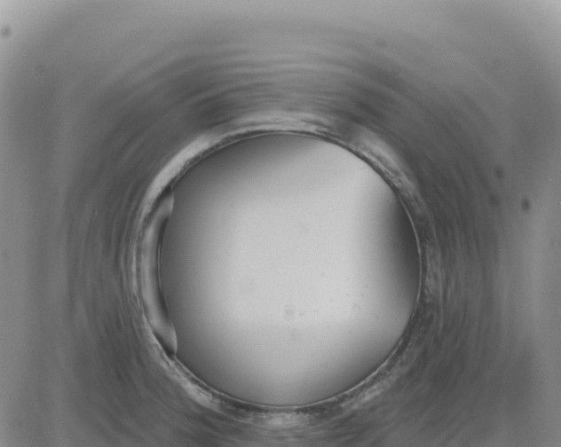 X0000080671188200612301352