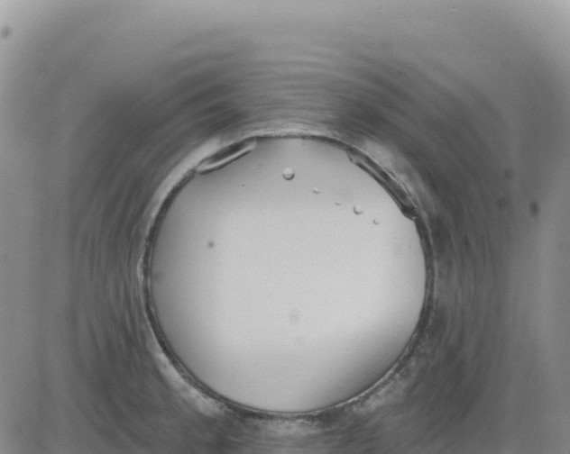 X0000080671189200612301352