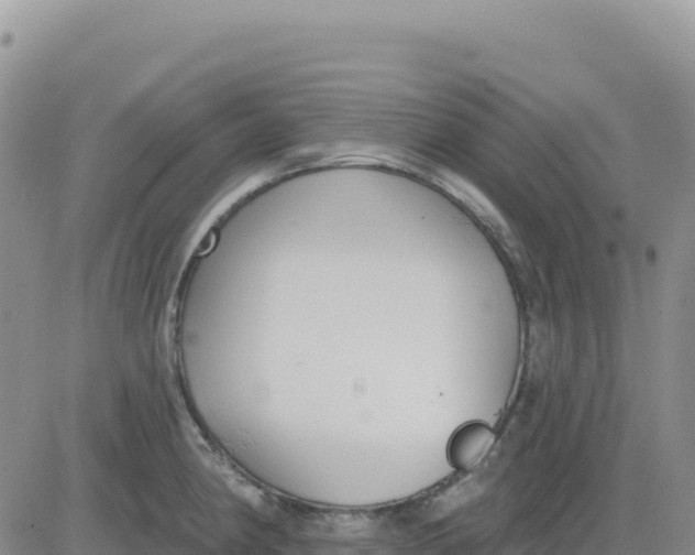 X0000080671190200612301352