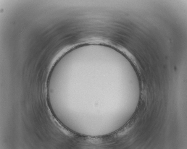 X0000080671191200612301352