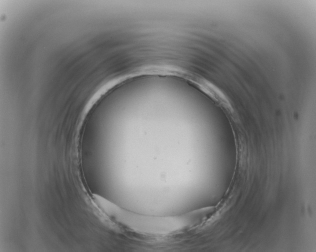 X0000080671192200612301352