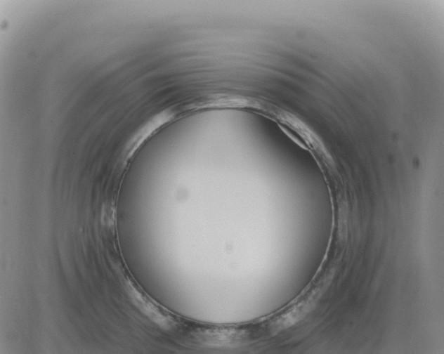 X0000080671193200612301352