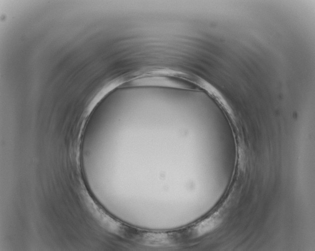 X0000080671194200612301352