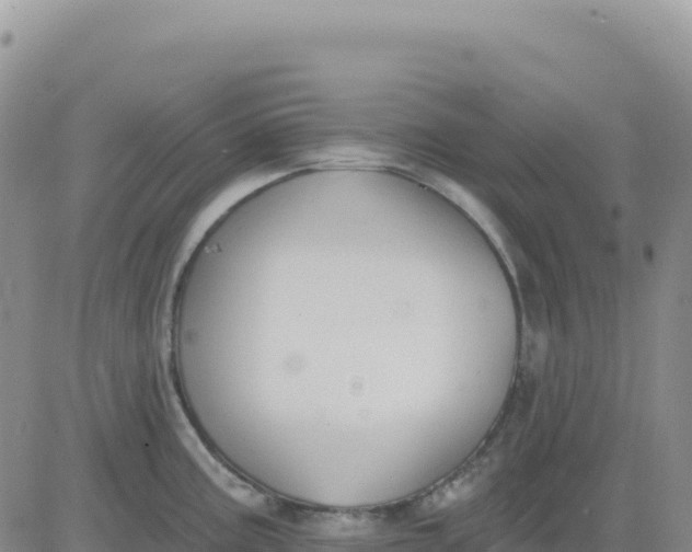 X0000080671195200612301352