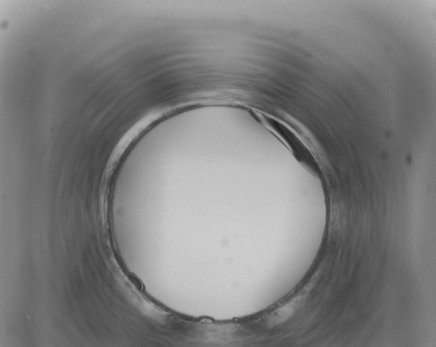 X0000080671196200612301352