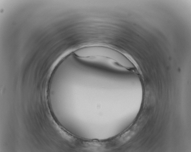 X0000080671197200612301352