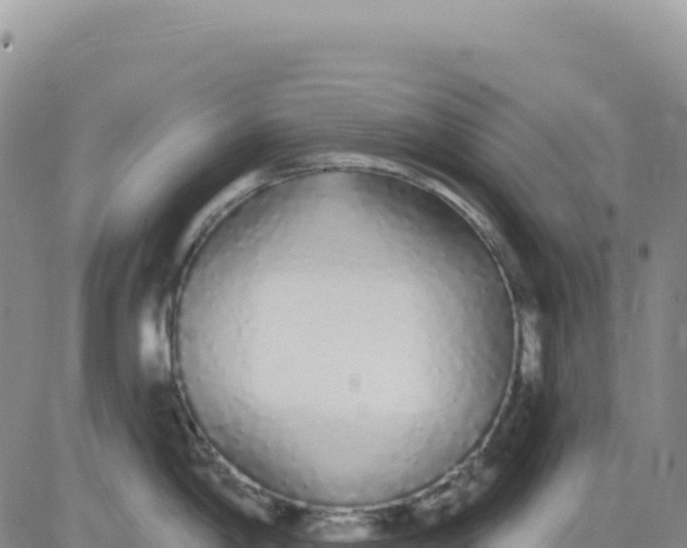 X0000080671198200612301352