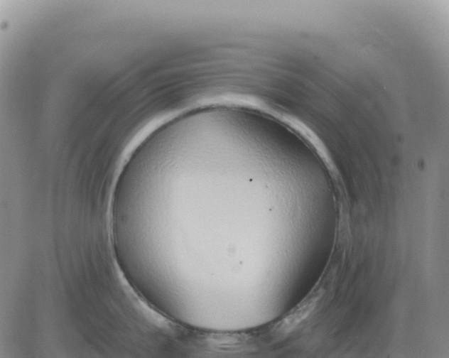 X0000080671199200612301352