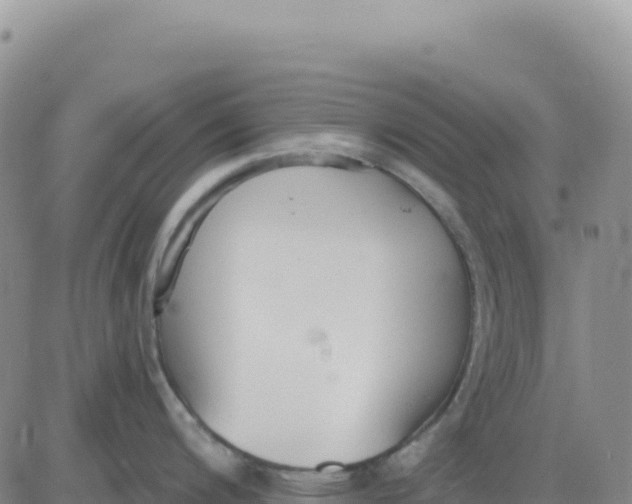 X0000080671200200612301352