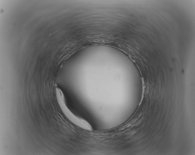 X0000080671202200612301351