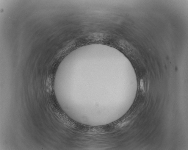 X0000080671203200612301351