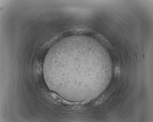 X0000080671204200612301351