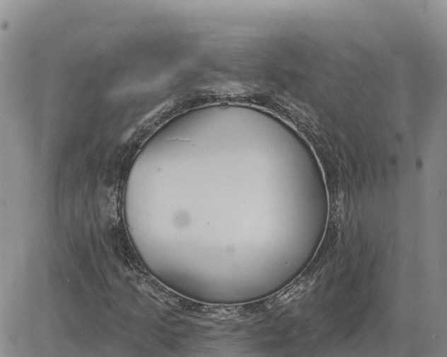 X0000080671205200612301351