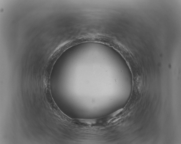 X0000080671206200612301351