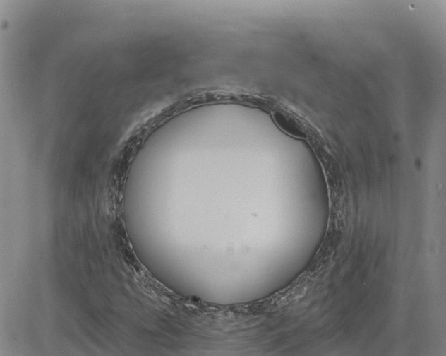 X0000080671207200612301351