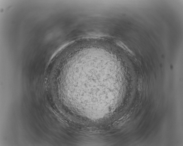 X0000080671208200612301351