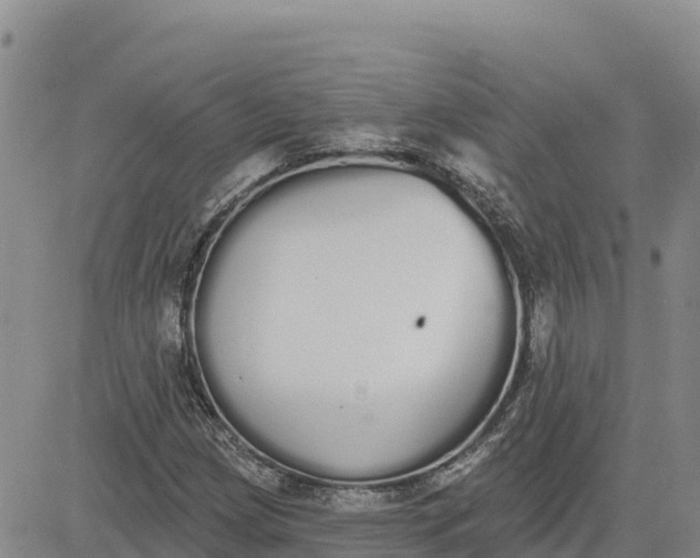 X0000080671209200612301351