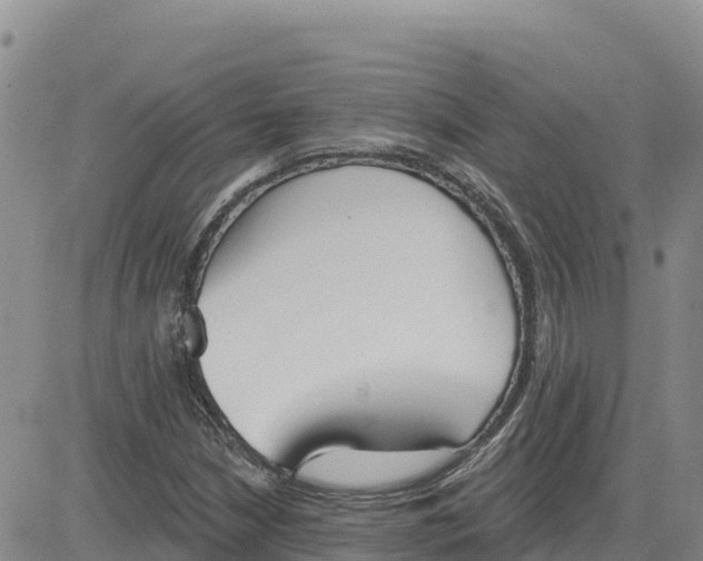 X0000080671210200612301351