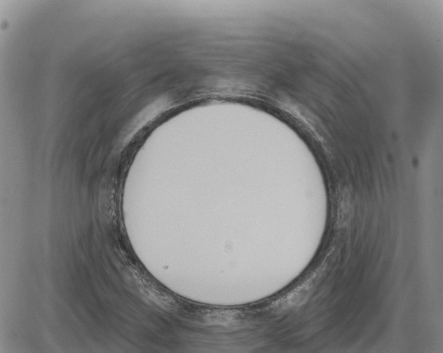 X0000080671211200612301351