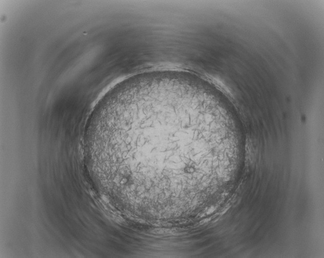 X0000080671212200612301352