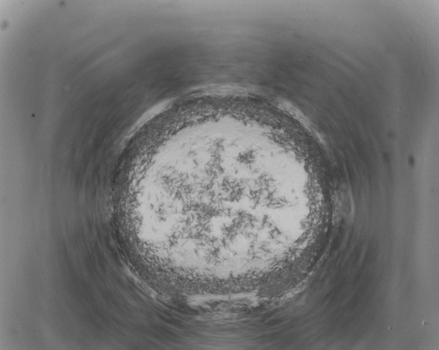 X0000080671213200612301352