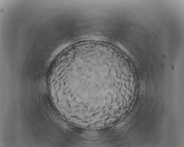 X0000080671215200612301352