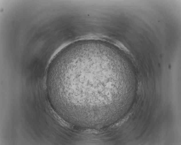 X0000080671216200612301352