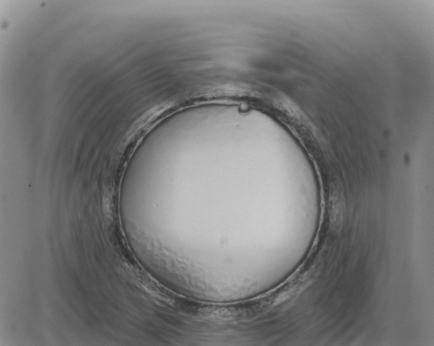 X0000080671217200612301352