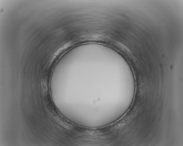 X0000080671218200612301352