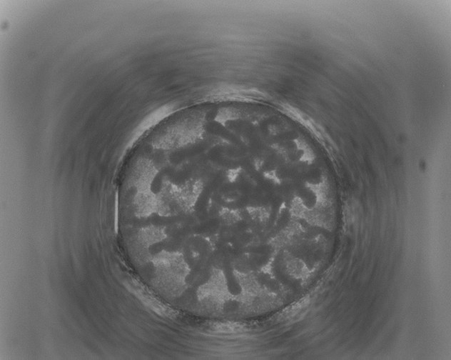 X0000080671219200612301352