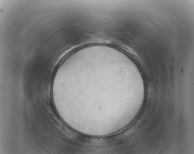 X0000080671220200612301352