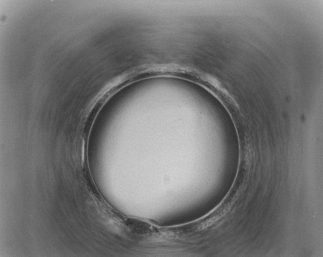 X0000080671221200612301352