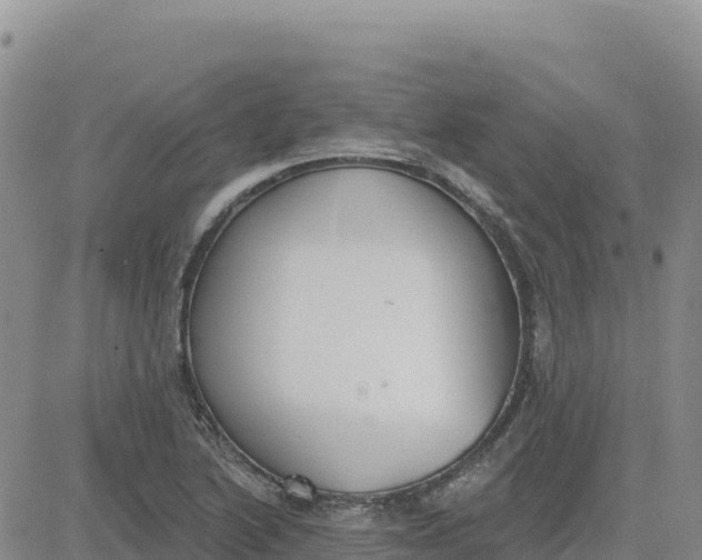 X0000080671222200612301352